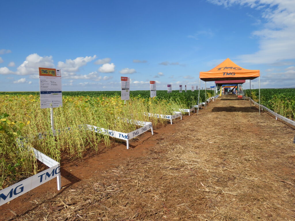 Fazenda Horizonte