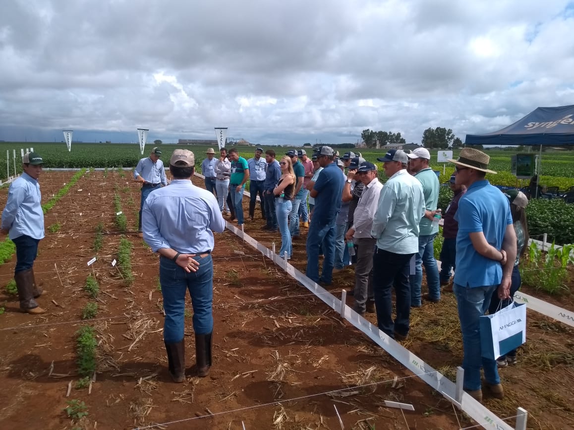 Circuito Tecnológico realizado em Campos de Júlio (MT), no dia 11 de janeiro de 2019.