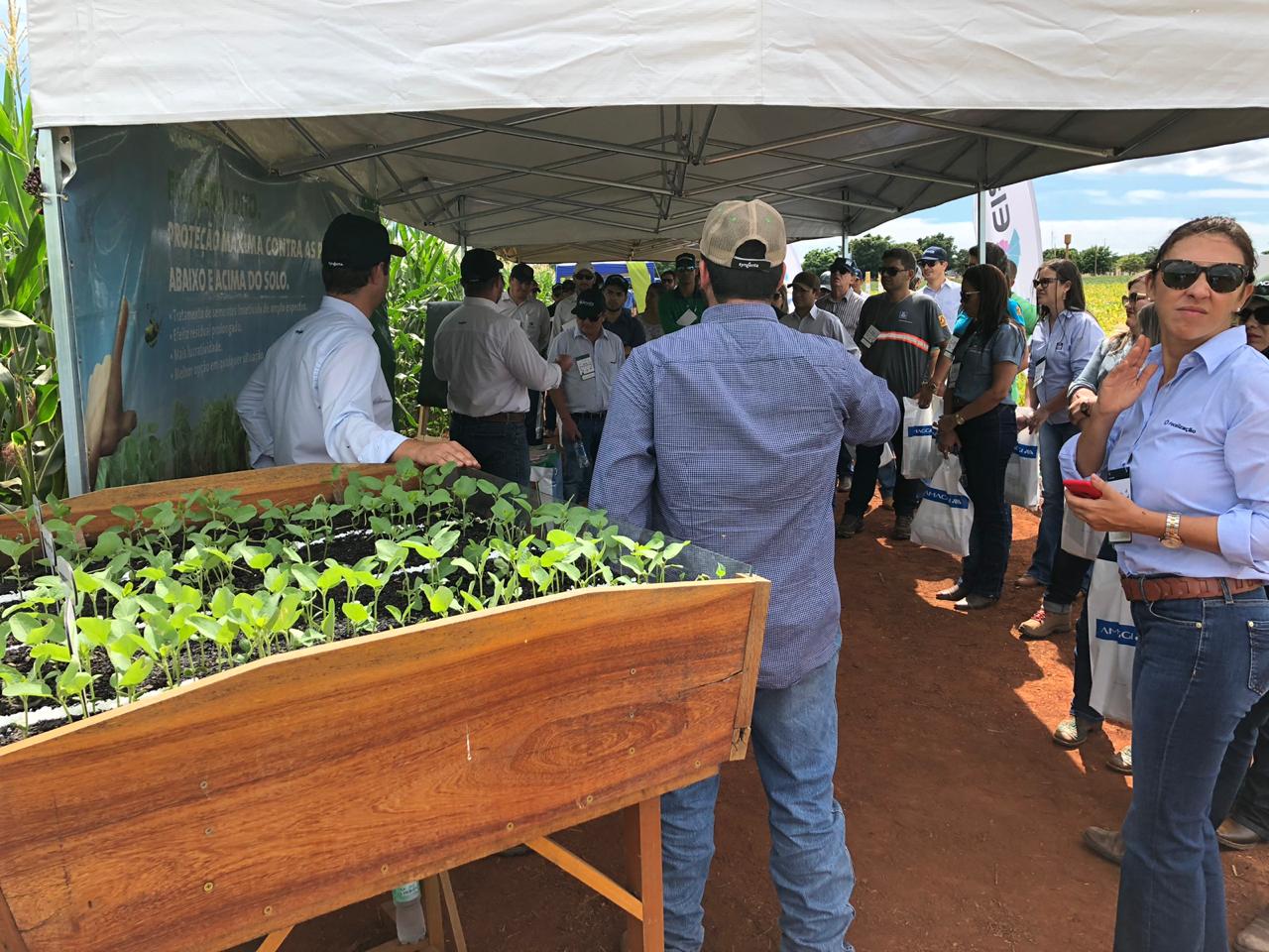 Circuito Tecnológico realizado em Itiquira (MT), no dia 19 de janeiro de 2019.