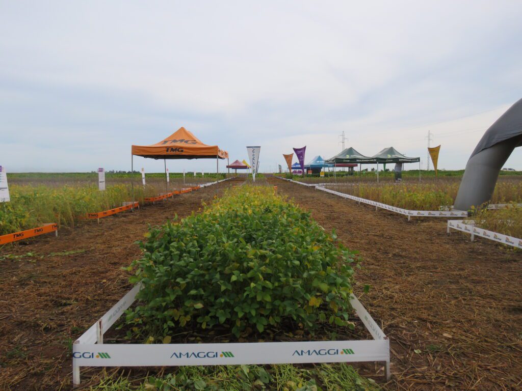 Circuito Tecnológico realizado em Brasnorte (MT), no dia 02 de fevereiro de 2019.