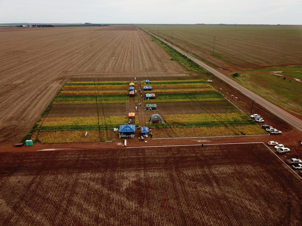 Circuito Tecnológico realizado em Brasnorte (MT), no dia 02 de fevereiro de 2019.