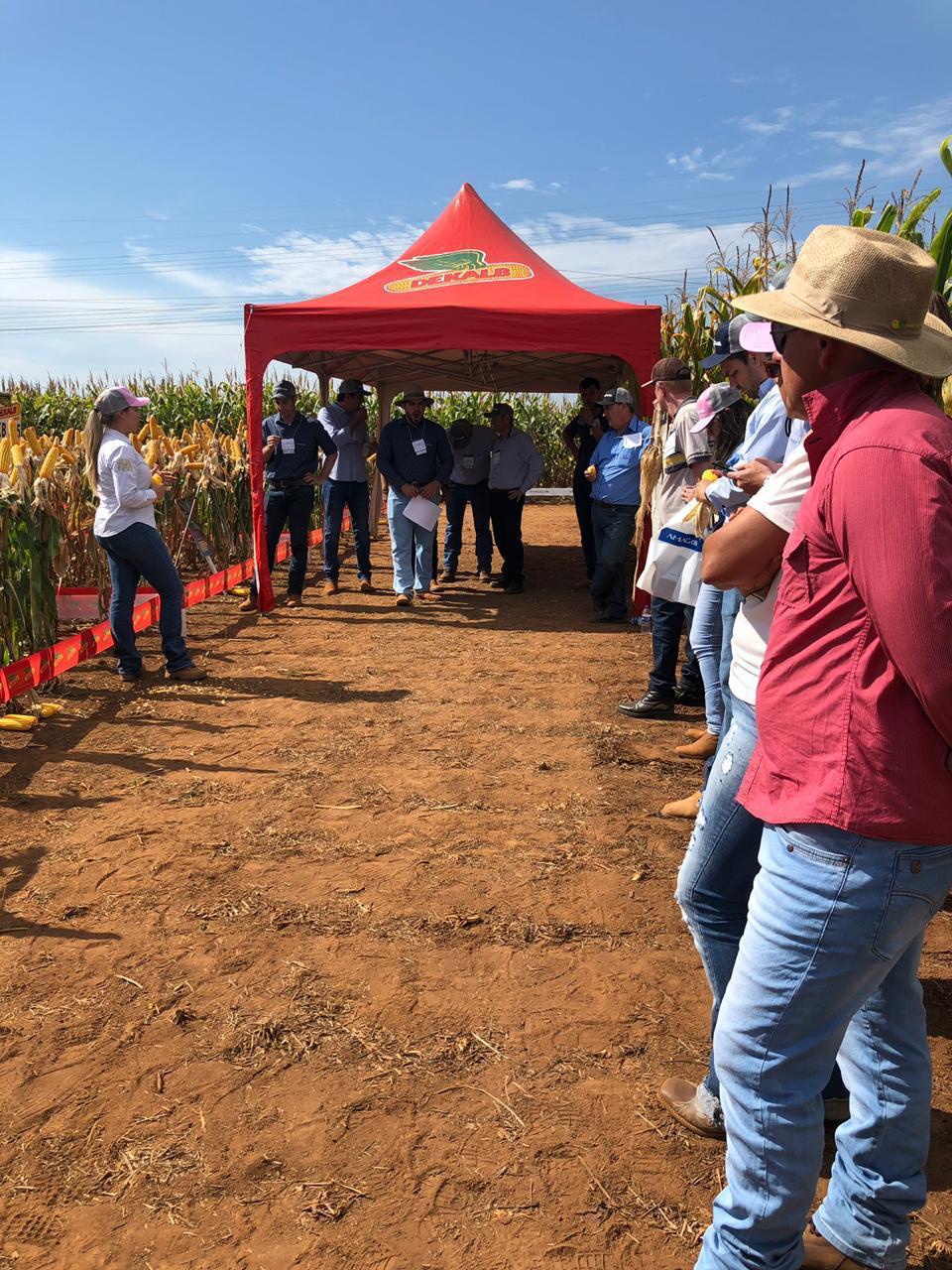 Circuito Tecnológico do Milho, realizado em Brasnorte (MT), no dia 07 de junho de 2019.