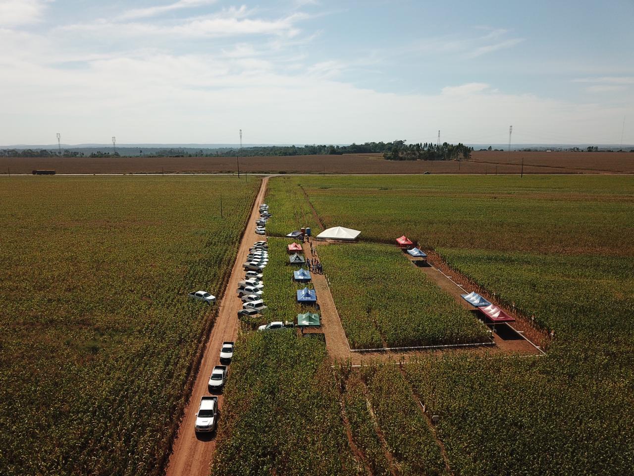 Circuito Tecnológico do Milho, realizado em Vilhena (RO), no dia 08 de junho de 2019.