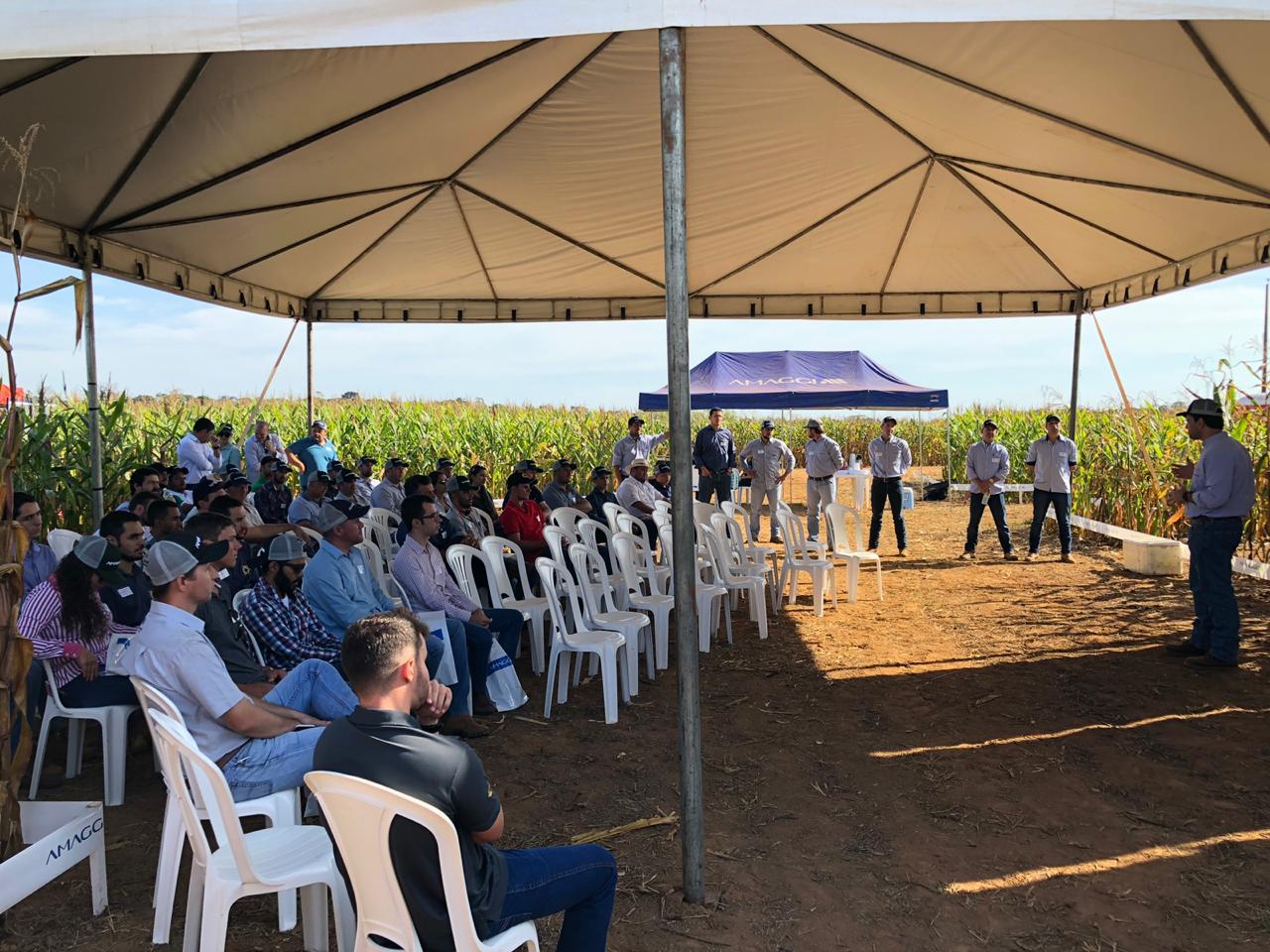 Circuito Tecnológico do Milho, realizado em Vilhena (RO), no dia 08 de junho de 2019.